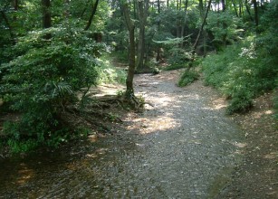 新座市妙音沢の写真