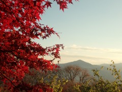 武甲山と赤いモミジ