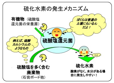 硫化水素の発生メカニズム説明図