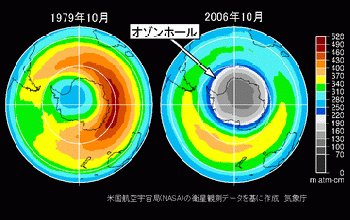 南半球における月平均オゾン全量の分布の画像