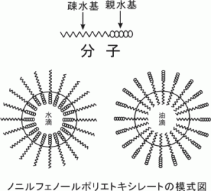 ノニルフェノールポリエトキシレートの模式の図