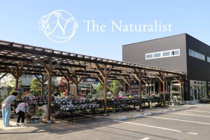 The Naturalist