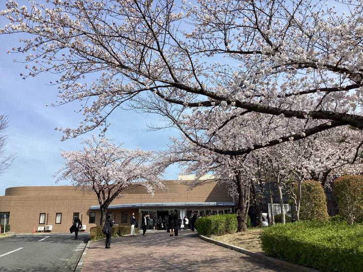 入学式1