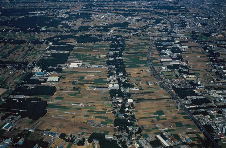 埼玉県指定旧跡「三富新田」