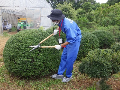 植木造園専攻