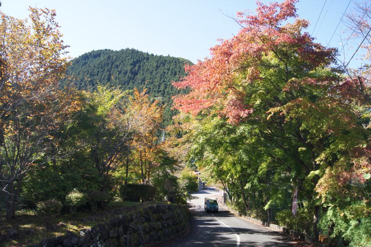 園内では紅葉も楽しめます