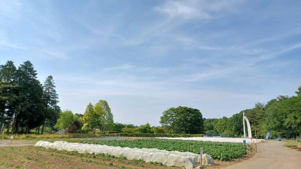 R6農林公園（深谷市）