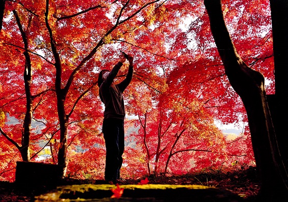 インスタ映えを撮る