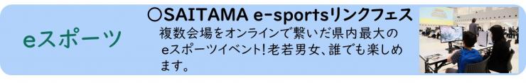 eスポバナー