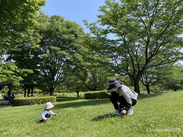 郵送身近佳作3