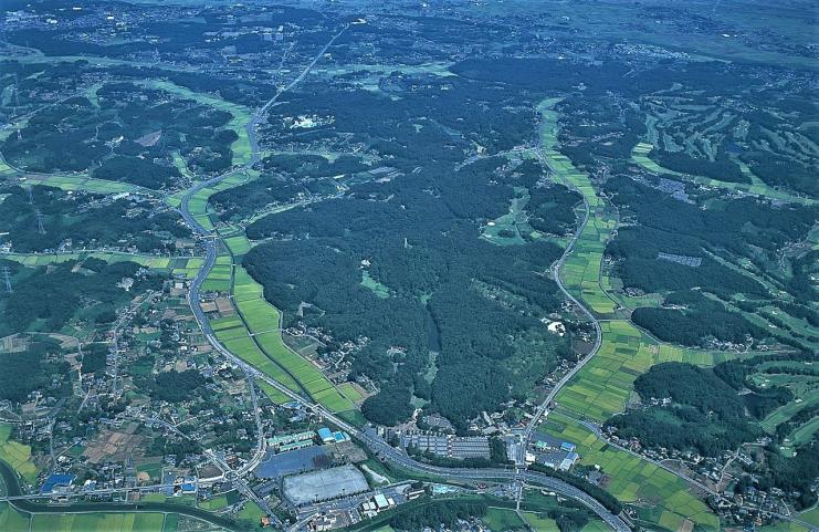典型的な谷津田の風景