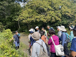 自然観察ガイドから植物の説明を受ける参加者たちの後ろ姿。