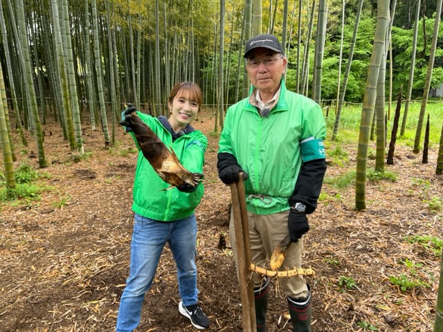 タケノコ掘り