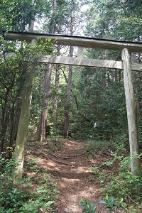 torii