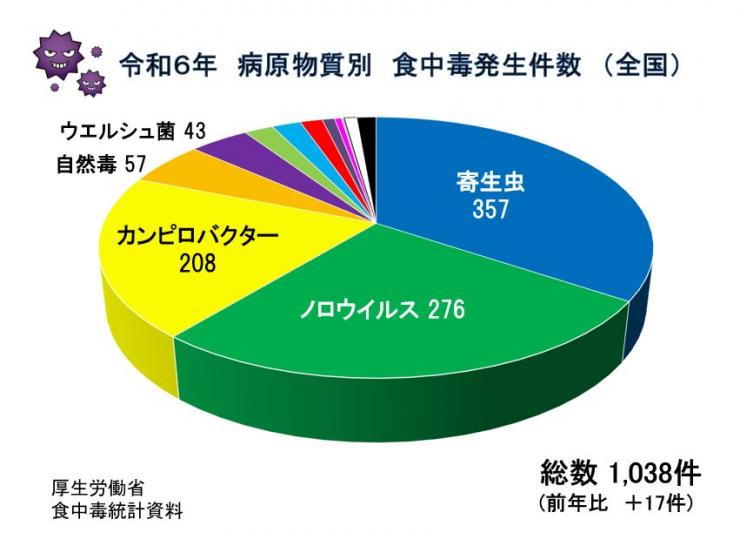 scdg2025-05