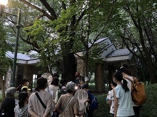 彩の森2