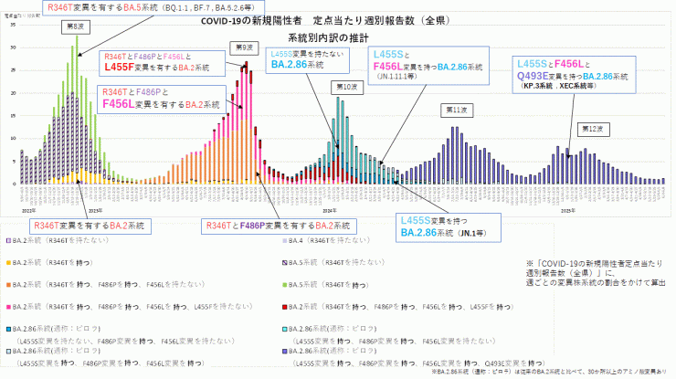 COVID-19新規陽性者定点当たり報告数系統別内訳の推計(2025年6月19日現在)