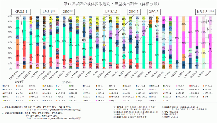 亜型別の内訳（2025年6月19日現在）