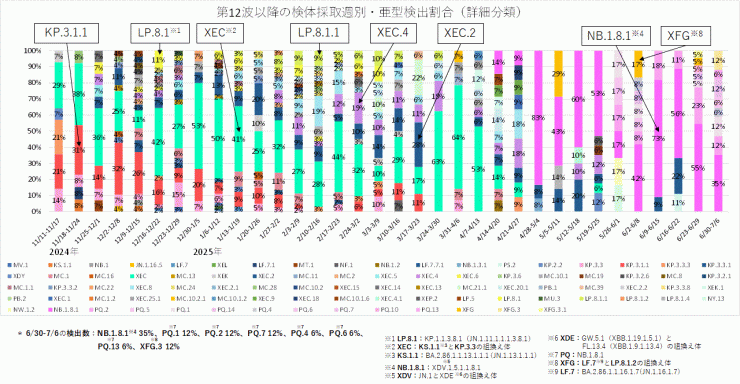 亜型別の内訳（2025年7月17日現在）
