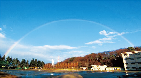 県立新座高等学校の虹の写真