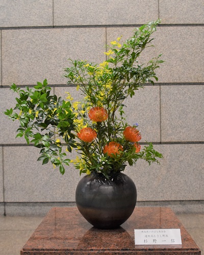 7月31日から議事堂に展示している生け花の写真