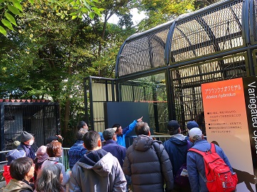 小動物園の説明