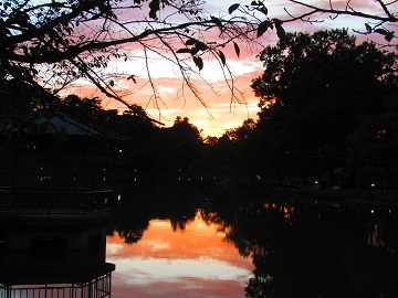 池面に映る夕日