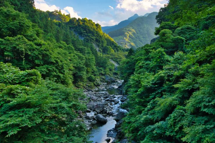 奥秩父の金蔵落としの渓流（夏）の写真