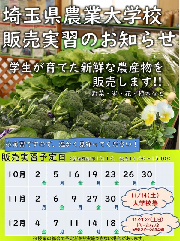 販売実習日程(令和8年10月~12月)