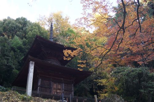 紅葉と多宝塔