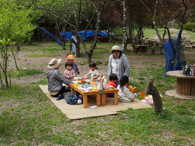 木々に囲まれた園庭で過ごす様子