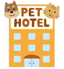 pet-hotel