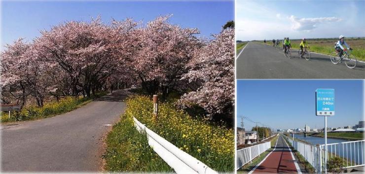 県内のサイクリングロード 埼玉県