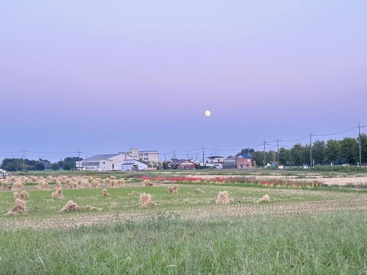 写真：彼岸花と中秋の名月