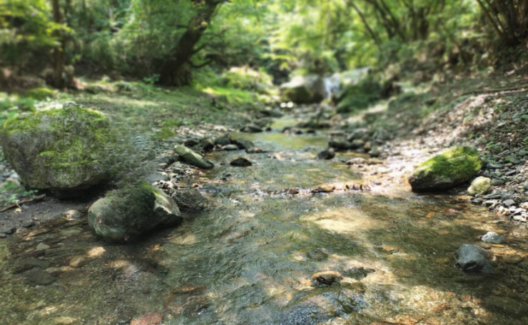 武甲山から流れる川