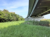 首都高速道路