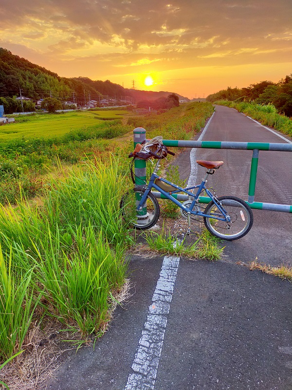 入賞モバイルA写真「真夏の朝散歩」