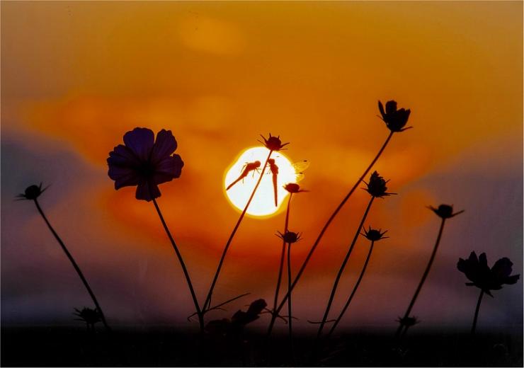 写真：茜空、キミのとなり