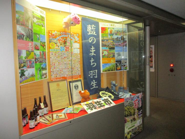 羽生市展示の写真