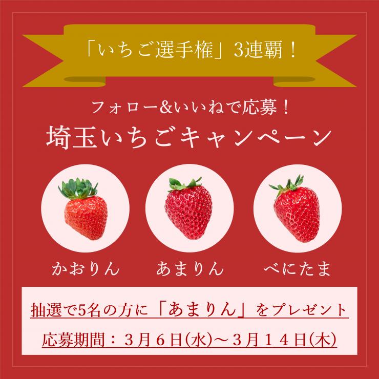 イメージ画像：埼玉いちごキャンペーン