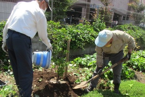 一二三富の会 植樹作業1