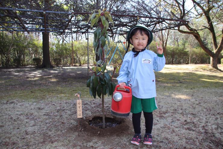 かみとめ幼稚園