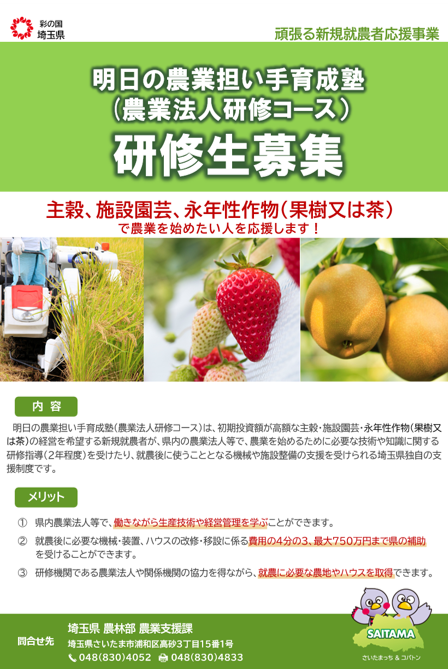 R7チラシ表