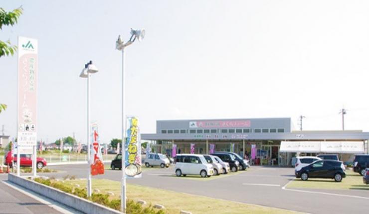 農産物直売所さくらファーム