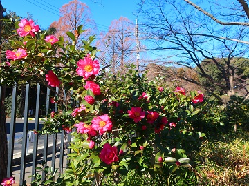 公園事務所外構