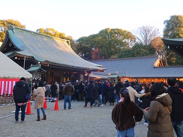 氷川神社の初詣