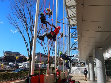 スタジアムクライミング