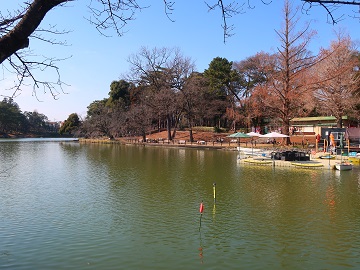 日差しを受ける池