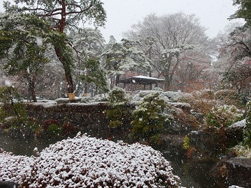雪の日本庭園