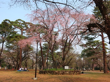 自由広場北側